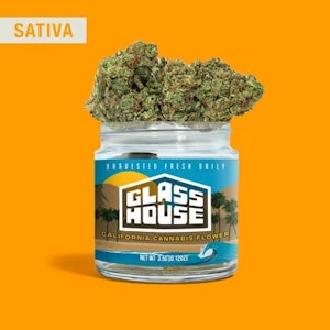 Glass House Farms - Glass House - Flower - Super Silver Haze - 3.5g