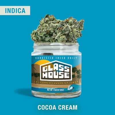 Glass House Farms - Glass House - Cocoa Cream - Flower - 3.5G Main Image