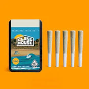 Glass House - Scatterbrain - Preroll 5pk - 3.5G
