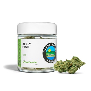 Glass House - Jellyfish CBD | 3.5g  | Glass House Farms