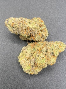 Primo Danks - Glitter Bomb Buds