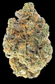 Glitter Bomb: Bulk flower 50:50 Hybrid