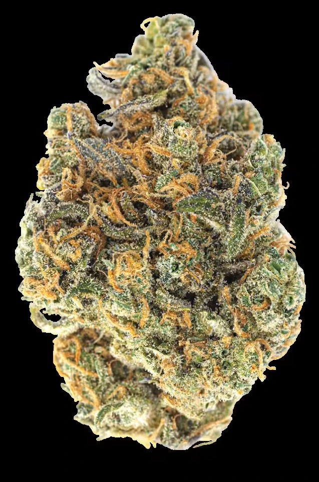 Chronicseur Farms - Glitter Bomb: Bulk flower 50:50 Hybrid Main Image