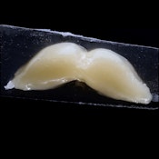 Mountain Man Melts - Live Rosin - Glob Ross - Concentrates - 1.0g