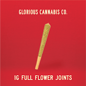 Glorious - Grandpa's RPG Full Flower Preroll - 1g