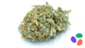 Product Preview Image 2