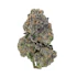 Product Preview Image 2