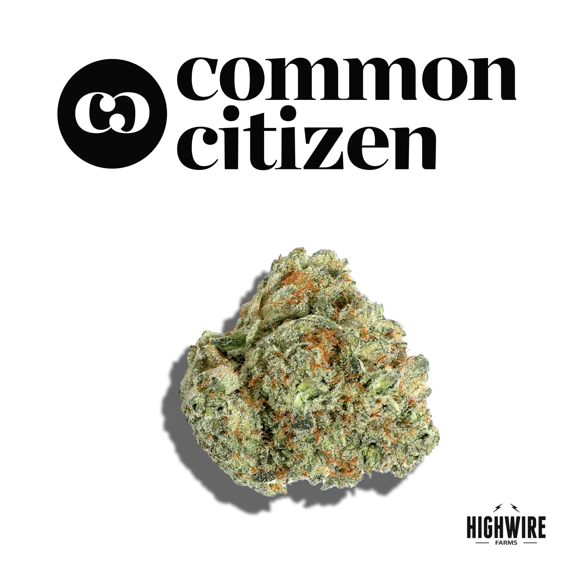Common Citizen - Glue Cheese 1/8th Main Image