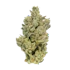 Product Preview Image 2