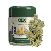 Gluetopia (H) | 3.5g Premium Flower | CBX