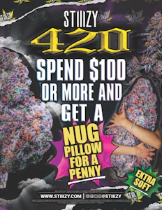 STIIIZY - Stiiizy Nug Pillow