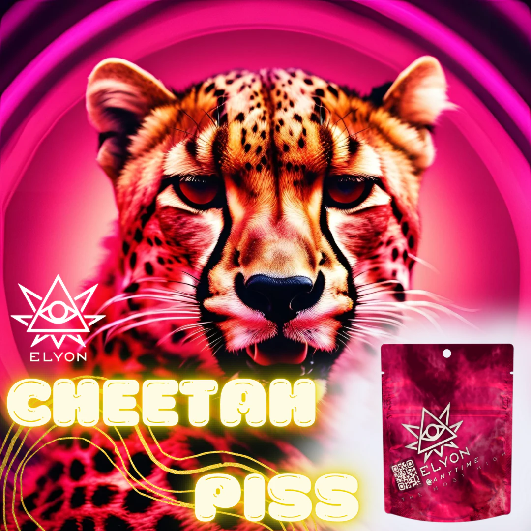 Elyon - DELETE - Cheetah 3.5 Main Image