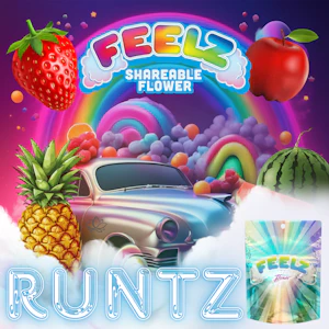 Feelz - RUNTZ