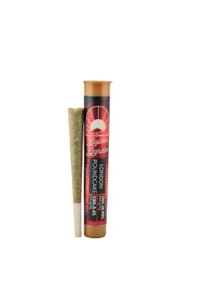 GOLDEN GARDEN - Golden Garden | Pre- Roll | Joint - London Pound Cake | 1g