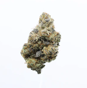 UpNorth - Golden Papaya - 3.5g (SH) - UpNorth