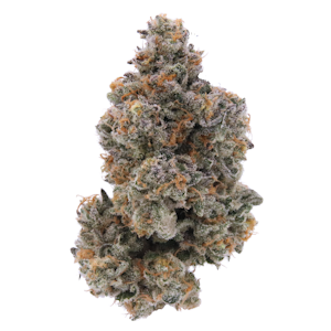 SENSE - Golden Pear - 3.5g (H) - Sense