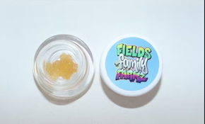 Gooberz Sugar (H) 81.93% THC | Fields Family Farmz | 1g