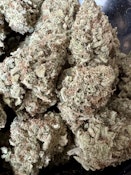 Good News | Blackwood Cultivation