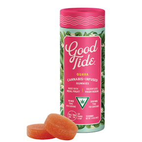 Good Tide | Guava Hybrid | 10pk/100mg
