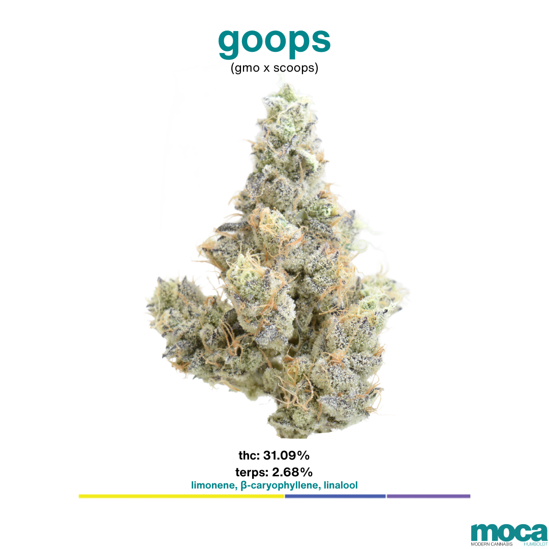 MOCA Flowers - 1G Smalls - Goops