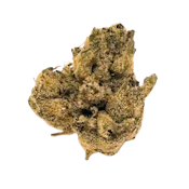 TH Gorilla Glue 4 | 3.5g