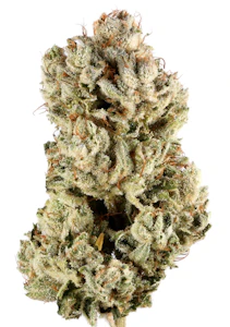 Cali-Blaze - CaliBlaze - Gorilla Glue [ H ] 14 g THC% 35