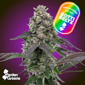 Garden Greens | Mixed Buds | Gotti Beltz | 7g