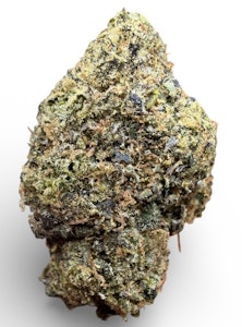 ZAZA - GOVERNMENT OASIS