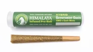 Himalaya 1g Governmint Oasis Infused Preroll