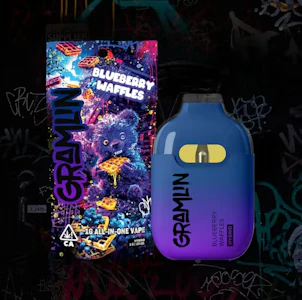 GRAMLIN - Gramlin All In One 1g Blueberry Waffles