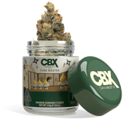 Funk Master (I) | 3.5g Premium Indoor | CBX