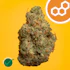 Product Preview Image 1