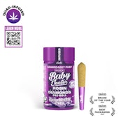 Jeeter - Grandaddy Purp - 2.5g Infused Baby Jeeter Pre-Rolls - 5pk