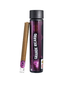 Grande Ricardo - Cannagar DD Orange PushPop 2.5g