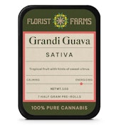 Grandi Guava | 7pck Pre-Rolls