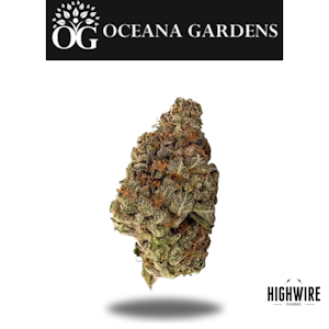 OCEANA GARDENS -  Chicken N' Waffles Shake OZ