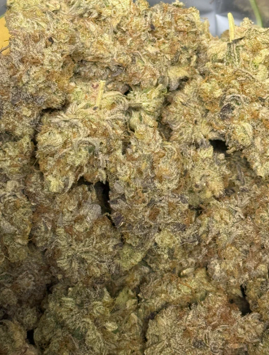 Valhalla Cannabis Company - Granola Funk Deli Main Image