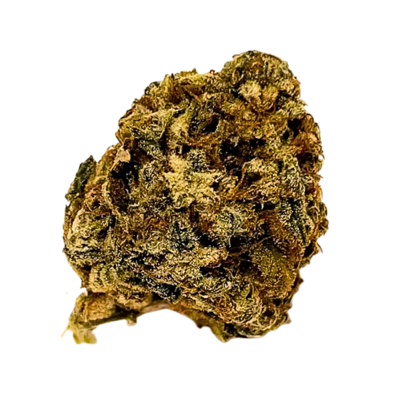 Bud Doctor - BD Grape Aliens | 3.5g Main Image