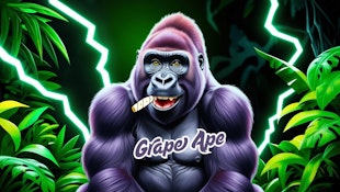 [REC] Green Lightning | Grape Ape | 3.5g Flower