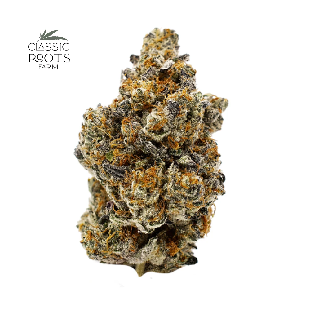 Classic Roots - Grape Blow 3.5g Prepack - CLASSIC ROOTS Main Image
