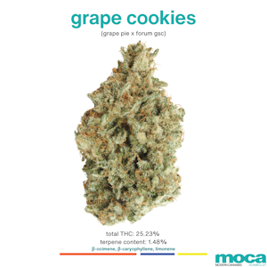 MOCA Flowers - MOCA Flowers - 1/8th Mylar Bag - Grape Cookies