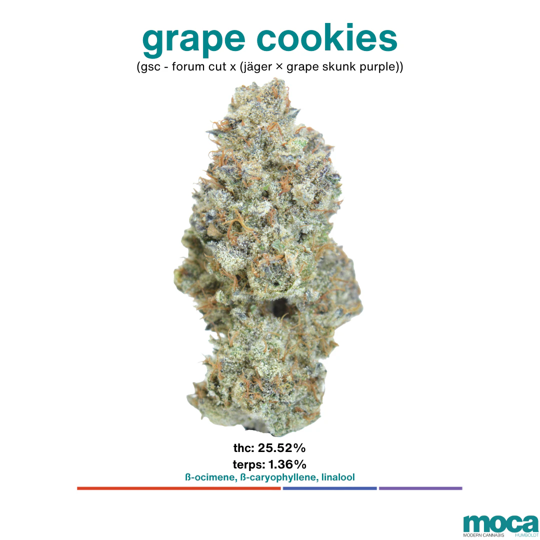 MOCA Flowers - MOCA Flowers - 1G Smalls - Grape Cookies Main Image