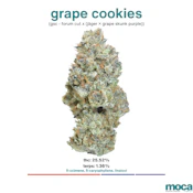 MOCA Flowers - Smalls 1/4 Bag - Grape Cookies