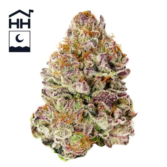 APPLE GUY FLOWERS - Grape Cream Cake *30% TAC* | 3.5g Premium Flower | TAX INCLD Main Image