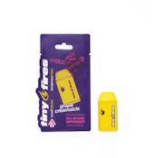 Tiny Fires - Grape Creamsicle - 1g All In One Vape