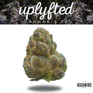 UPLYFTED CANNABIS - Grape Gas 1/8th