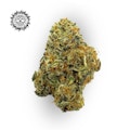 Grape Pie #4 Bulk Flower - EFF! (FIRE ISLAND)
