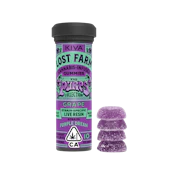 Grape X Purple Dream (H) | Live Resin Gummies 10pk 100mg THC | Lost Farms