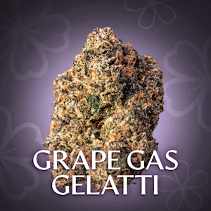 Blossomz - Grape Gas Gelatti - 3.5G Jar By Blossomz