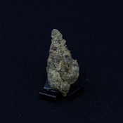 THC | Grape Sherbet 